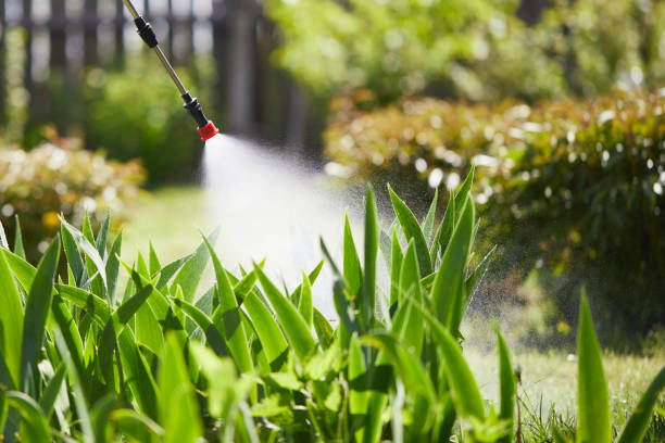 Tamper-Resistant Bait Stations for Rodents in Steamboat Springs
